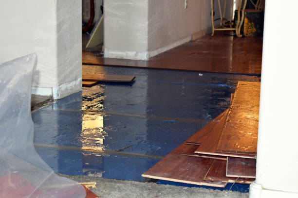 Professional Water Damage Restoration technician working in Gower, MO